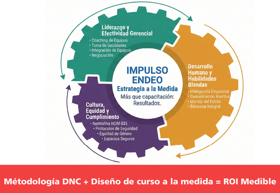 ROI DE CAPACITACION